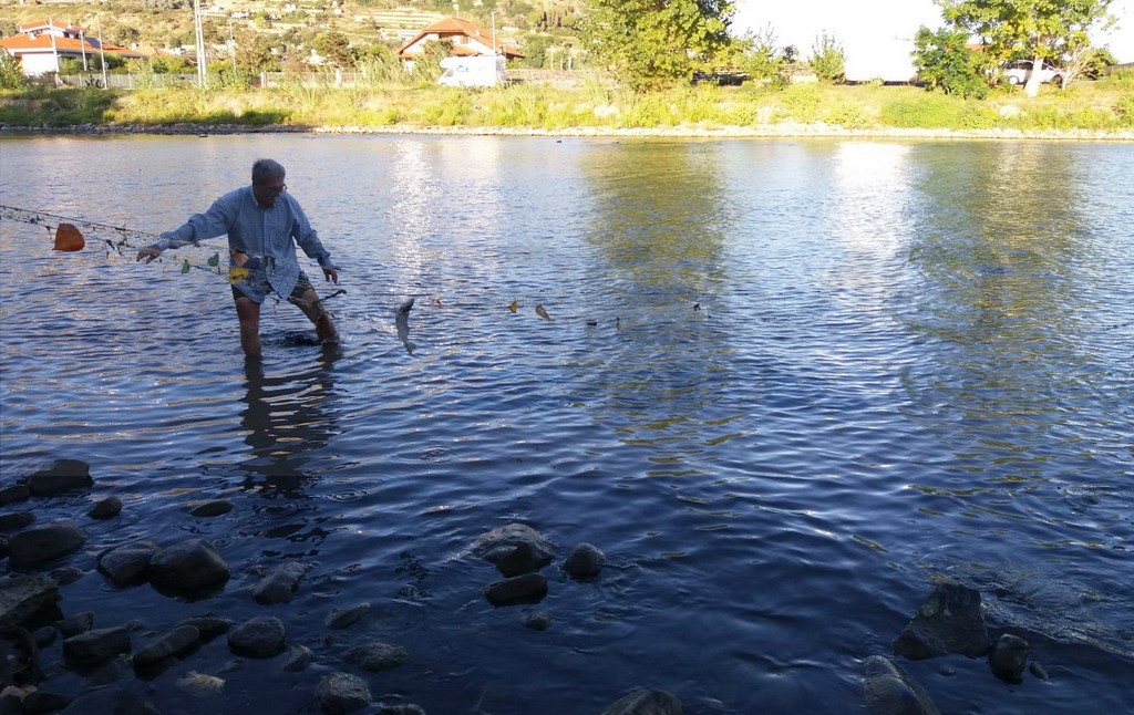 Rete per pesca barracuda 