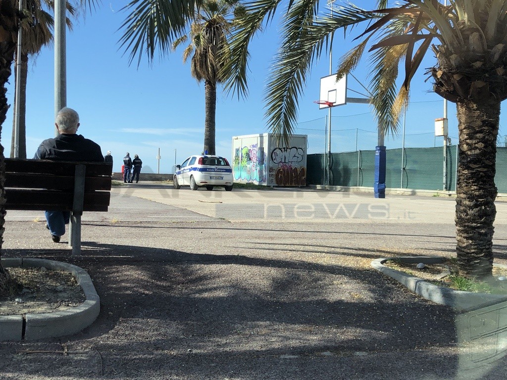 CENTRO DI AGGREGAZIONE ALBERO MAGICO