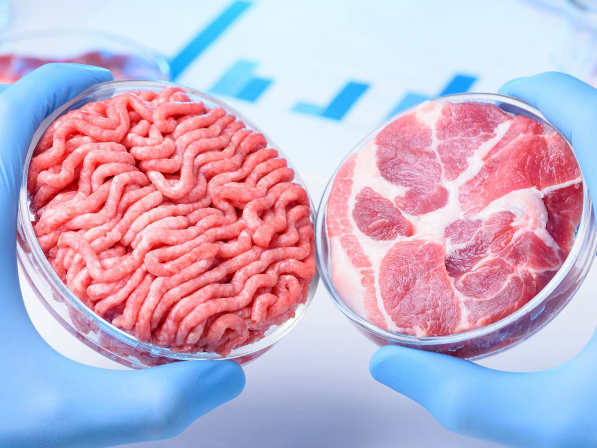 Carne Coltivata O Cibo A Base Cellulare Coldiretti Impariamo A