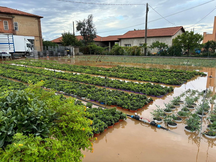 Maltempo, Regione Liguria attiva squadre per la valutazione dei danni subiti dalle aziende agricole e la richiesta risarcimento