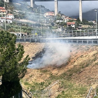 Sterpaglie a fuoco sul ciglio dell'Aurelia bis: fiamme arginate dai VVF(foto)