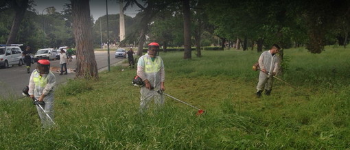 La Confartigianato al fianco delle imprese del verde: al via il corso per il patentino fitosanitario