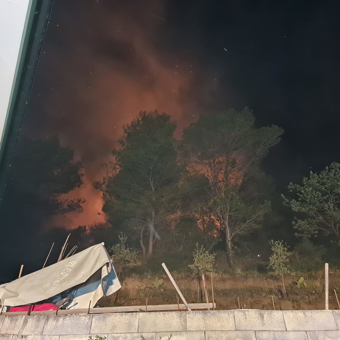 Nella notte vasto incendio di sterpaglie vicino alle case, paura a Vallecrosia alta (foto e video)
