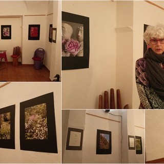 Piante e fiori in uno scatto, il giardino di Silvana Maccario in mostra a Bordighera (Foto e video)