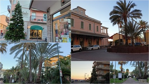 Bordighera verso il Natale, in città spuntano i primi addobbi (Foto)