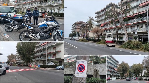 Ventimiglia, al via la potatura dei platani: cambia la viabilità in via Tacito (Foto e video)