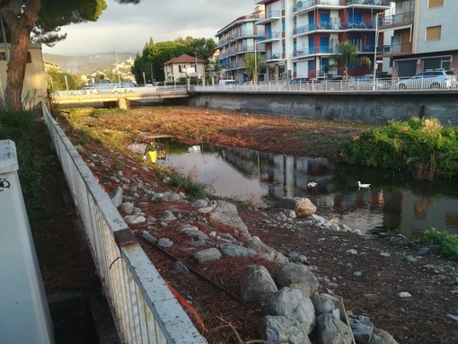 Diano Marina, Egea e Accademia Kronos ripuliscono la foce dell'Evigno: raccolti  12 sacchi di rifiuti da 110 litri (foto)