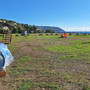 Bordighera: quasi pronta l'area cani in Arziglia, ultimi giorni di lavoro per il montaggio (Foto)