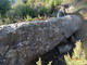 Nuove testimonianze archeologiche sul territorio di Seborga: scoperto un menhir enorme