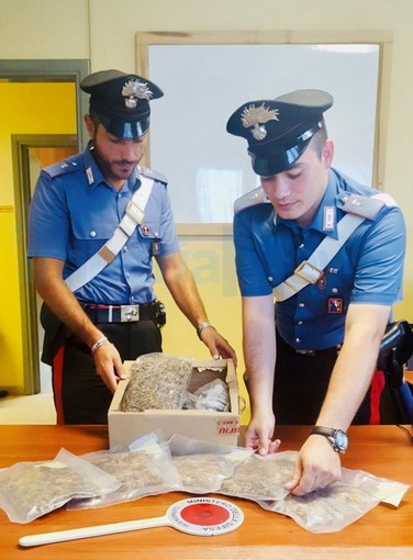 Bunker della marijuana a San Damiano: già rilasciato il 32enne imperiese, arrestato ieri