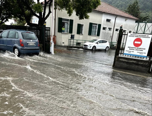 Camporosso: strade, campi e serre allagate, la disperazione del coltivatore Marco Damele (Foto)