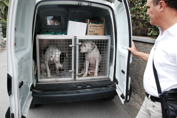 Sanremo: lettera aperta sui due Dogo Argentina di via Marinella, la risposta di una lettrice