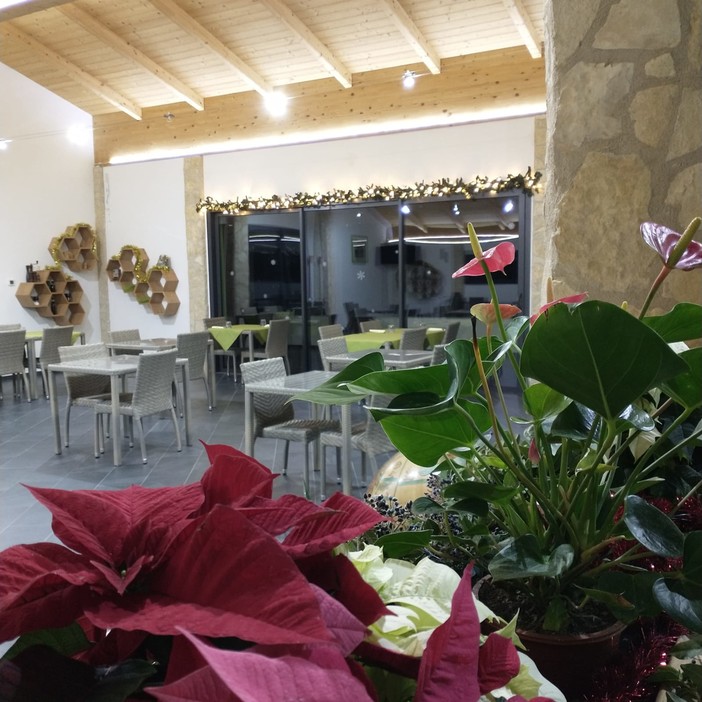 Agribirreria Green House la nuova realtà a Santo Stefano 100% Green, per Natale anche il karaoke