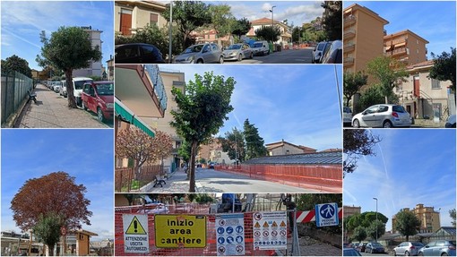 Alberi abbattuti in via Don Bosco a Vallecrosia, il sindaco Biasi: &quot;Il progetto prevede la futura piantumazione di altre essenze&quot; (Foto e video)