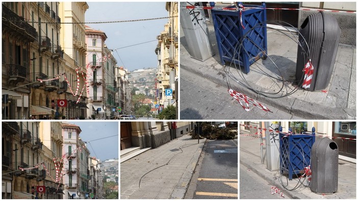 Sanremo: caduta dell'albero di magnolia, gravi danni alla linea filoviaria. Difficile una previsione sul suo ripristino (Foto e Video)