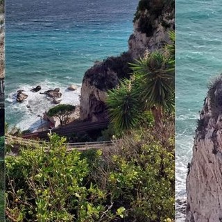 Ventimiglia, rimosso l'albero pericolante sui binari: ripristinata la circolazione dei treni