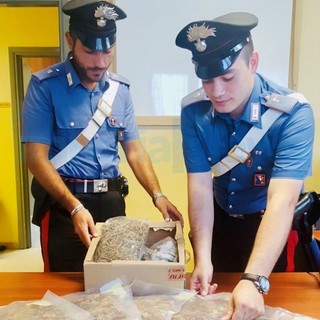 Bunker della marijuana a San Damiano: già rilasciato il 32enne imperiese, arrestato ieri