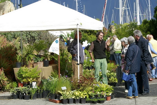 Mostra mercato di piante insolite e mediterranee: sabato e domenica dalle 10 alle 19 espositori selezionati animeranno l'esclusivo porto turistico di Marina degli Aregai