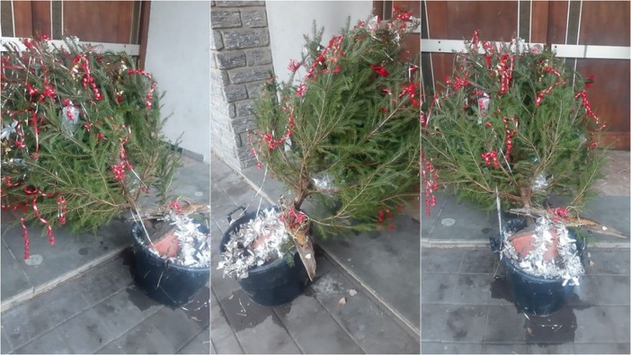 Ventimiglia, l'albero di Natale davanti alla chiesa delle Gianchette preso di mira dai vandali (Foto)