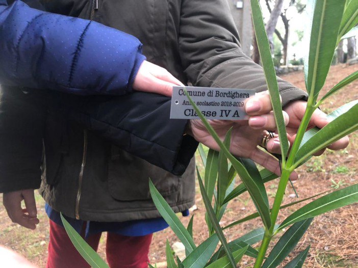 Le immagini dalla pineta di Bordighera