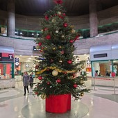 Sanremo: per la prima volta alla stazione ferroviaria di corso Cavallotti allestito l'albero di Natale (Foto)