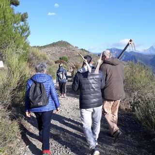 Ventimiglia: in 30 ieri con l'associazione 'Albintimilium' per piantare 100 alberi sul Monte Pozzo (Foto)