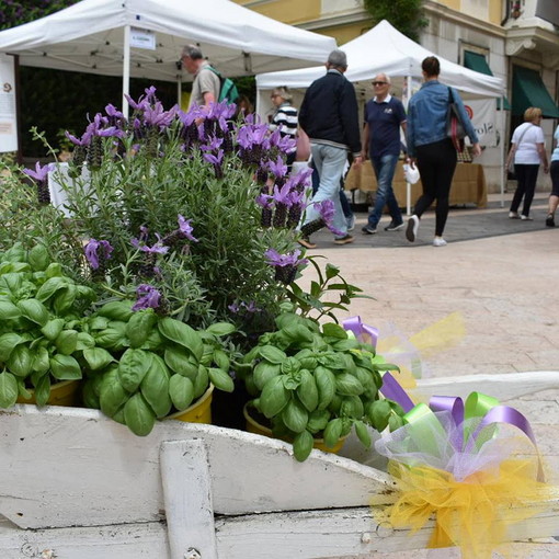 Quarta e ultima giornata a Diano Marina e nel golfo: tre conferenze e due cooking show, gran finale oggi per ‘Aromatica’