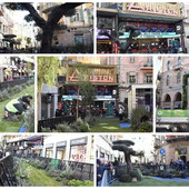 Sanremo: ecco la città 'verde', sta per terminare l'allestimento del 'Green Carpet'. Due ulivi di fronte all'Ariston (Foto)