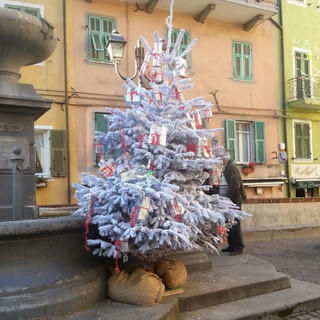 Sanremo: ecco l'albero di Natale esposto nella piazza centrale della frazione di Coldirodi