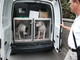 Sanremo: lettera aperta sui due Dogo Argentina di via Marinella, la risposta di una lettrice
