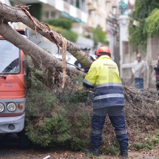 Sanremo: primi danni a causa del forte vento, crollano su via Asquasciati alcuni alberi di Villa Angerer