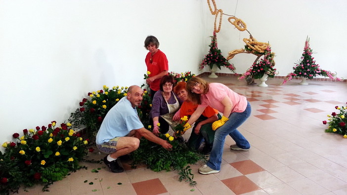 Rose in Esposizione: tutto pronto a San Biagio della Cima. Per 3 giorni in mostra il panorama rosicolo della Riviera dei Fiori