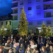 Gli alberi di Natale veri addobbati in piazza Borea d'Olmo