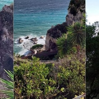 Ventimiglia, albero pericolante sui binari: iniziate le operazioni di rimozione (Foto e video)