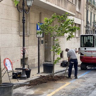 I lavori in via Ruffini