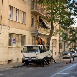 Sanremo: dialogo costruttivo ieri in Quarta Commissione per il regolamento del verde pubblico e privato