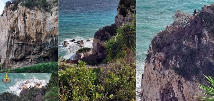 Ventimiglia, rimosso l'albero pericolante sui binari: ripristinata la circolazione dei treni