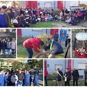 Bordighera, alla 'Rodari' l’Albero della Memoria e la targa per i cittadini deportati e uccisi nei campi di concentramento (Foto e video)