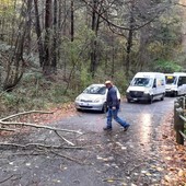 Maltempo sulla nostra provincia: Vigili del Fuoco al lavoro per liberare alcune strade da alberi caduti