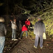 Albero cade sulla strada per Perinaldo: sindaco e operai al lavoro per far rientrare a casa le famiglie (Foto)