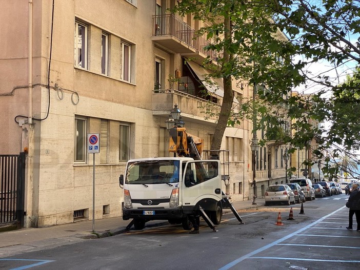 Sanremo: dialogo costruttivo ieri in Quarta Commissione per il regolamento del verde pubblico e privato