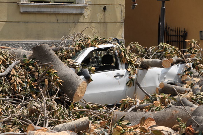 Sanremo: caduta della magnolia in via Roma, la strada non riaprirà prima di domattina. 3 mezzi distrutti (Foto e Video)