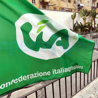 Bordighera: alla CIA di Imperia la gestione del “Mercato degli Agricoltori” fino al 2025