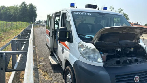 Ventimiglia, si rompe il motore dell'ambulanza veterinaria: scatta una raccolta fondi online per ripararlo