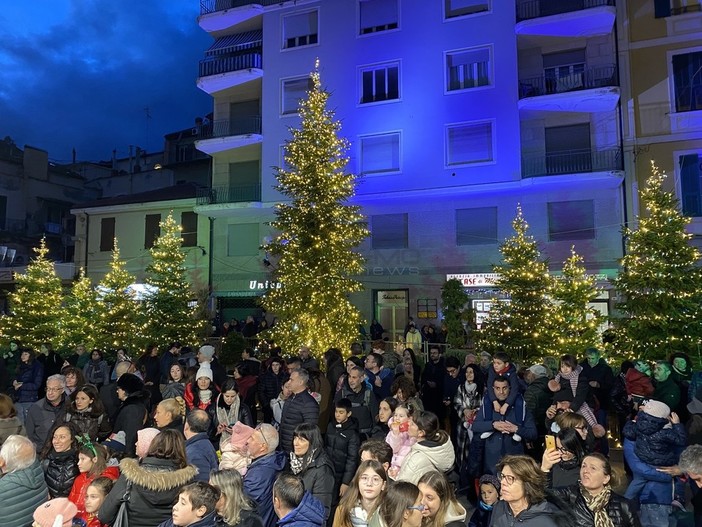 Gli alberi di Natale veri addobbati in piazza Borea d'Olmo