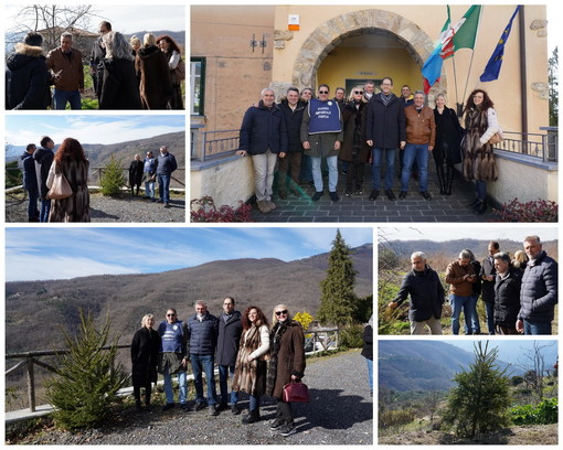 Gli alberi che hanno addobbato il Natale di Diano Marina ora continuano a vivere in Valle Arroscia