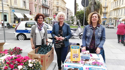 In corso di svolgimento l'iniziativa dell'Airc 'L'Azalea della ricerca', le foto del banchetto a Sanremo