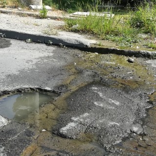 Bussana: continua la perdita d'acqua in via Frantoi Canai, la segnalazione di un nostro lettore (Foto)