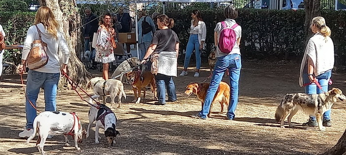 Un ‘Green carpet’ per le bellezze a quattro zampe: tornano i cani del ‘Dog show’ di Bordighera