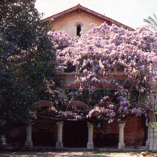 Bordighera: domani al Parco del Museo Bicknell 'Come si dipinge un fiore'